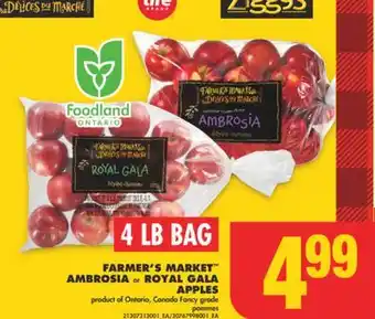 No Frills Farmer's market ambrosia or royal gala apples, 4 lb bag offer