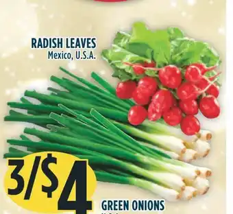 Marché Adonis Radish leaves offer