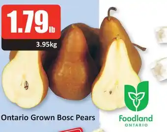 Starsky Ontario grown bosc pears offer
