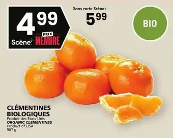 Rachelle-Bery Grocery ORGANIC CLEMENTINES 907g offer