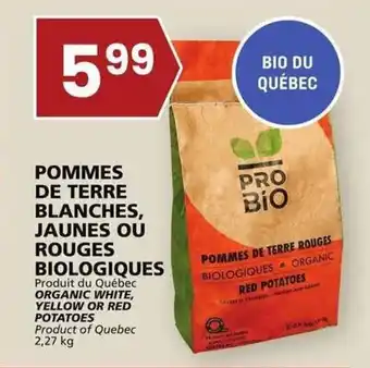 Rachelle-Bery Grocery ORGANIC WHITE, YELLOW OR RED POTATOES 2,27 kg offer