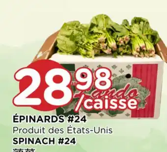 Kim Phat Spinach #24 offer