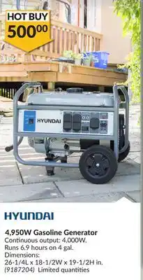Princess Auto 4 gasoline generator offer