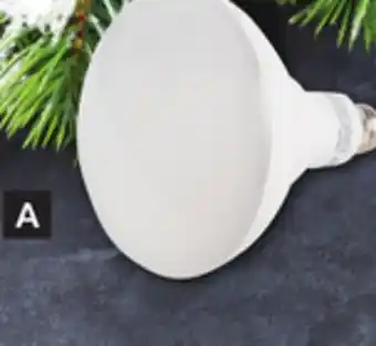 Princess Auto Led light bulbs offer