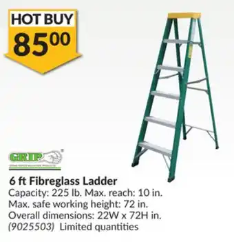 Princess Auto 6 ft fibreglass ladder offer