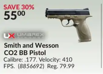 Princess Auto Smith and wesson co2 bb pistol offer