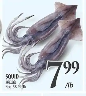 Al Premium Food Mart SQUID offer