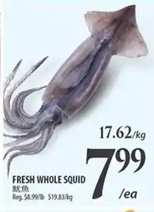 Al Premium Food Mart FRESH WHOLE SQUID offer