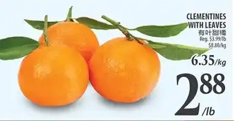 Al Premium Food Mart CLEMENTINES WITH LEAVES offer