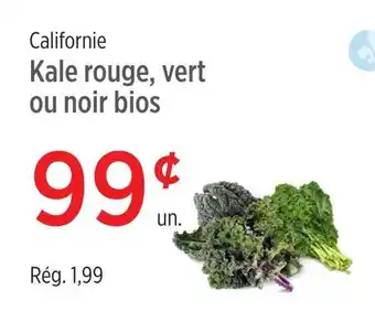 Avril Californie Kale rouge, vert ou noir bios offer