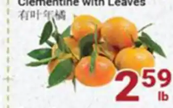 Oceans Fresh Food Market Clementine with leaves offer