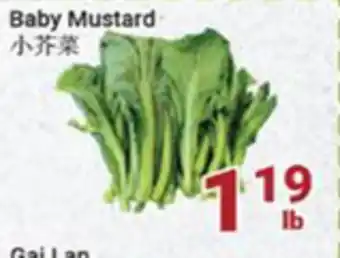 Oceans Fresh Food Market Baby mustard offer