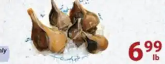 Oceans Fresh Food Market Live conch offer