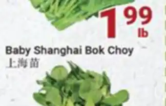 Oceans Fresh Food Market Baby shanghai bok choy offer