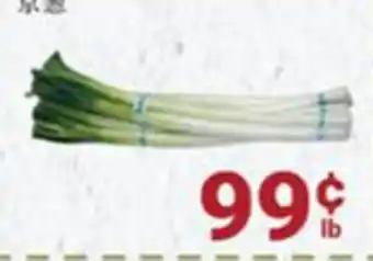 Oceans Fresh Food Market Chinese green onion offer