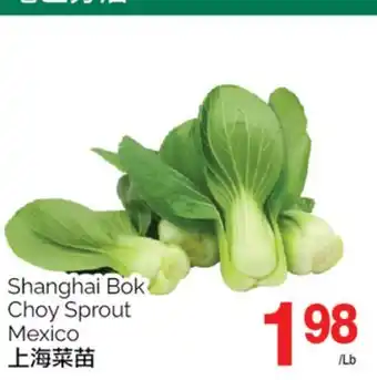 T&T Supermarket Shanghai bok choy sprout offer