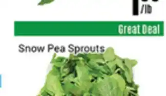 Nations Fresh Foods Snow pea sprouts offer