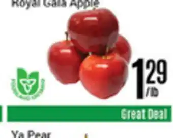 Nations Fresh Foods Royal gala apple offer