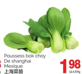 T&T Supermarket Poussess bok choy de shanghai offer
