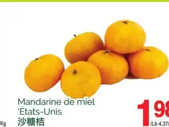T&T Supermarket Mandarine de miel offer