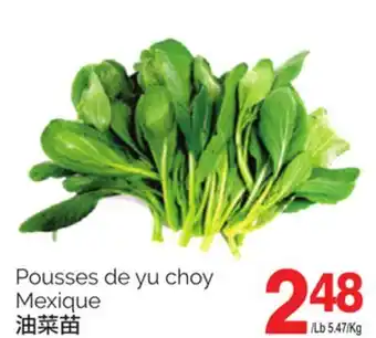T&T Supermarket Pousses de yu choy offer