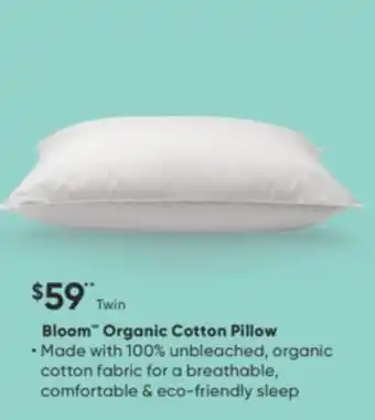 Sleep Country Bloom organic cotton pillow offer