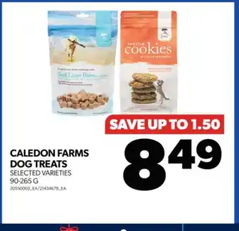 Real Canadian Superstore Caledon farms dog treats, 90-265 g offer