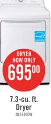 The Brick Lg 7.3 cu. ft. ultra large capacity electric dryer with sensor dry - dle6100w offer