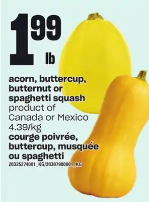 Independent City Market Courge poivrée, buttercup, musquée ou spaghetti offer