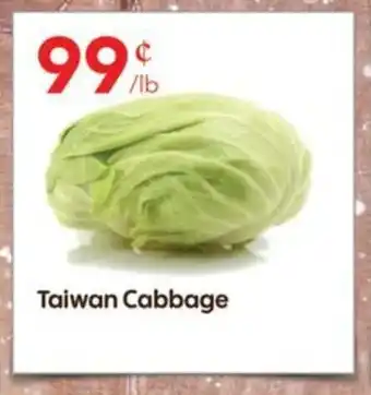 Taiwan Cabbage