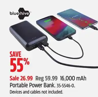 Canadian Tire Bluehive 16,000 mah portable power bank offer