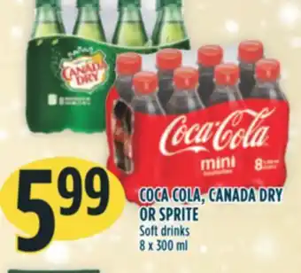Marché Adonis Coca cola, canada dry or sprite soft drinks offer