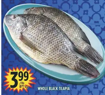 Marché Adonis Whole black tilapia offer