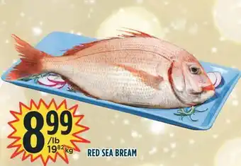 Marché Adonis Red sea bream offer
