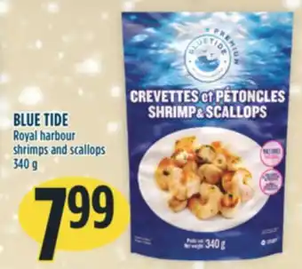 Marché Adonis Blue tide royal harbour shrimps and scallops offer