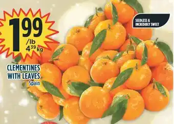 Marché Adonis Clementines with leaves offer
