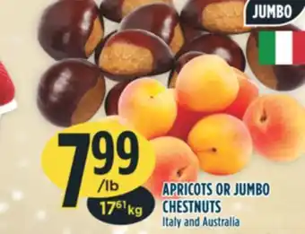 Marché Adonis Jumbo apricots or jumbo chestnuts offer