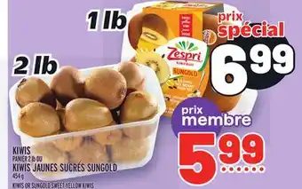 Metro Kiwis | kiwis offer