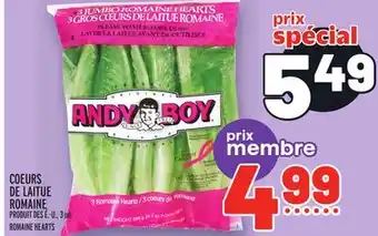 Metro Coeurs de laitue romaine | romaine hearts offer