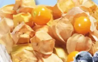 IGA Ground cherries offer