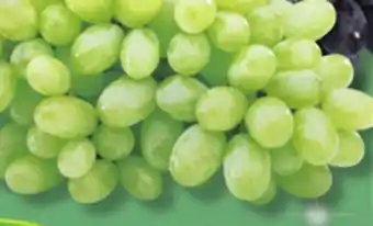 IGA Seedless green grapes offer
