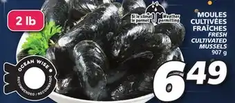 IGA Fresh cultivated mussels offer