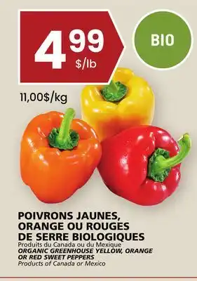 Rachelle-Bery Grocery Organic greenhouse yellow, orange or red sweet peppers offer
