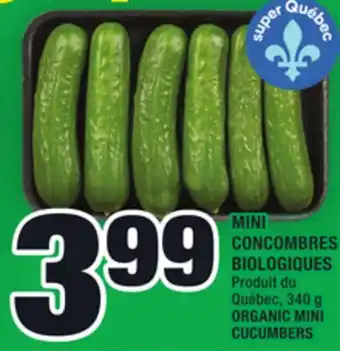 Super C Mini concombres biologiques | organic mini cucumbers offer