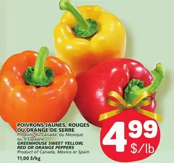 Marché Bonichoix Greenhouse sweet yellow, red or orange peppers offer