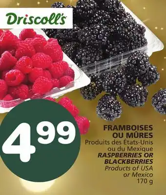 Marches Tradition Raspberries or blackberries offer