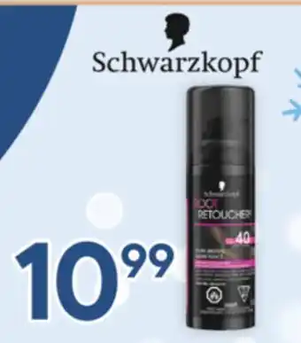 Brunet Schwarzkopf offer