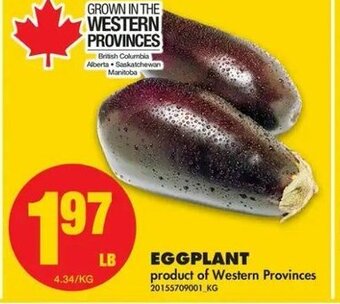 No Frills Eggplant offer