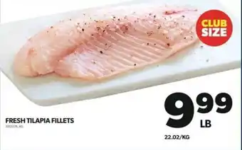Real Canadian Superstore FRESH TILAPIA FILLETS offer
