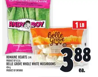 Metro Romaine hearts offer